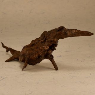 恐竜形状的天然木(无原外盒)